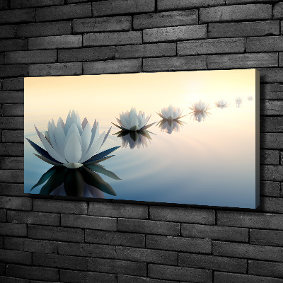 Tableau photo sur toile Fleurs de lotus