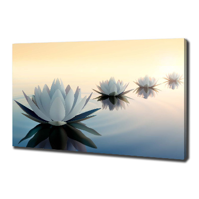 Tableau photo sur toile Fleurs de lotus