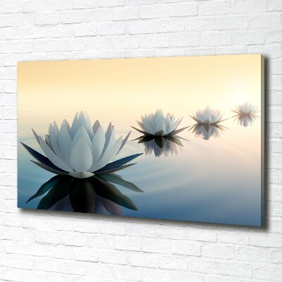 Tableau photo sur toile Fleurs de lotus