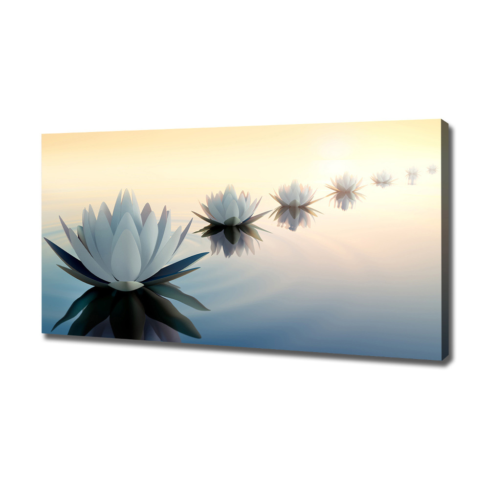 Tableau photo sur toile Fleurs de lotus