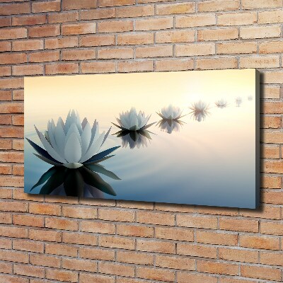 Tableau photo sur toile Fleurs de lotus