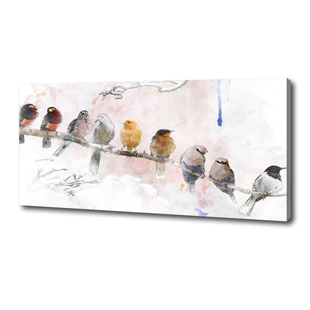 Tableau sur toile Oiseaux sur une branche