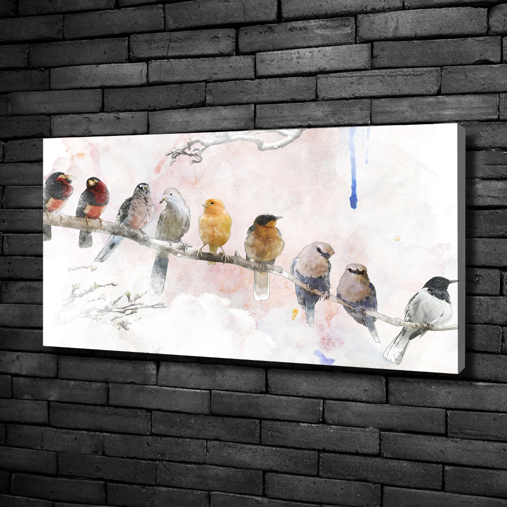 Tableau sur toile Oiseaux sur une branche