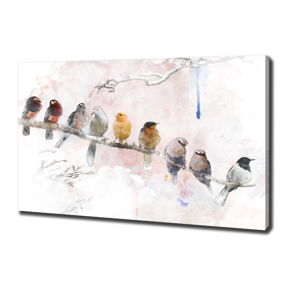 Tableau sur toile Oiseaux sur une branche