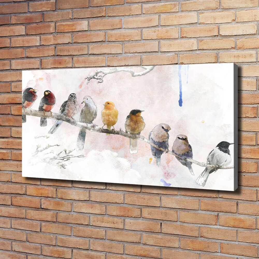 Tableau sur toile Oiseaux sur une branche