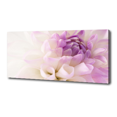 Tableau photo sur toile Dahlia blanc