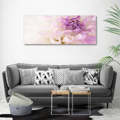 Tableau photo sur toile Dahlia blanc