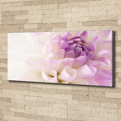 Tableau photo sur toile Dahlia blanc