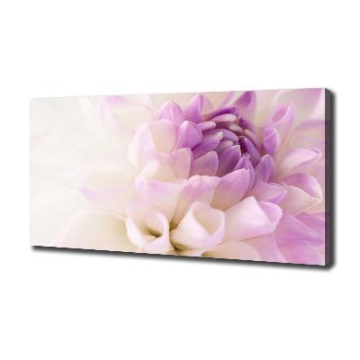 Tableau photo sur toile Dahlia blanc