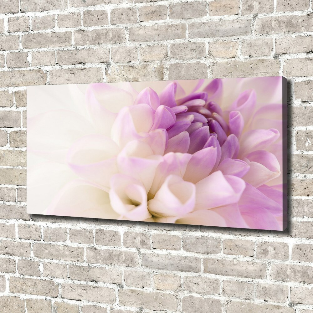 Tableau photo sur toile Dahlia blanc