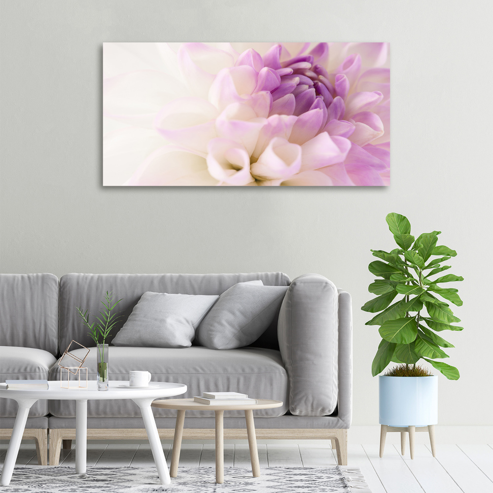 Tableau photo sur toile Dahlia blanc