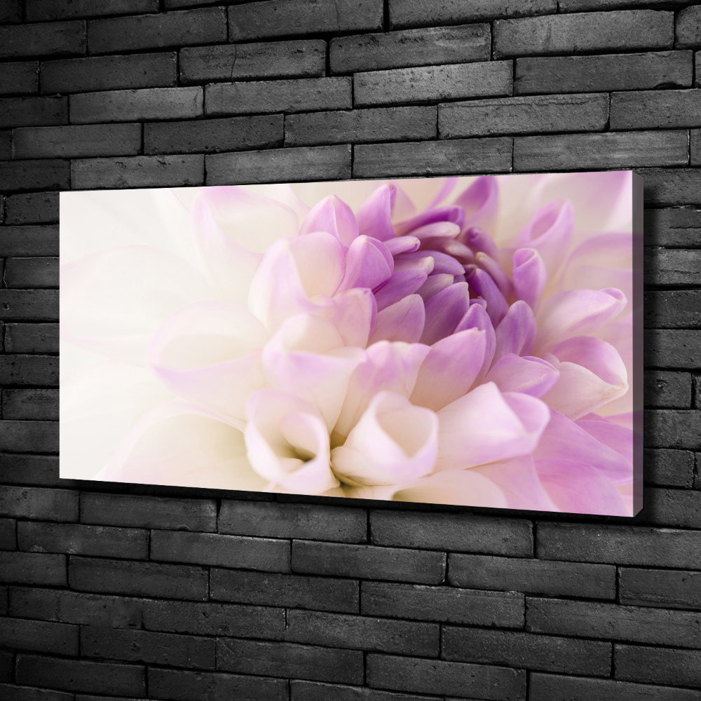 Tableau photo sur toile Dahlia blanc