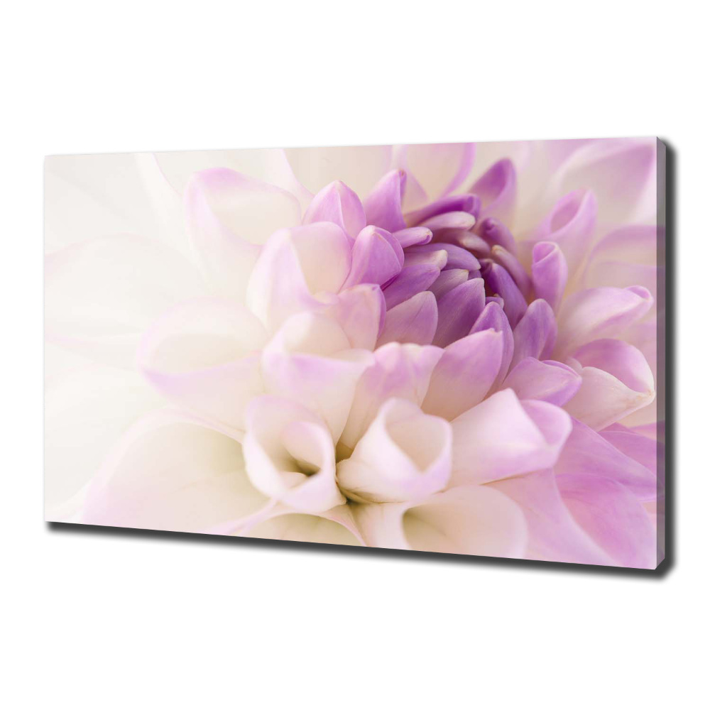 Tableau photo sur toile Dahlia blanc