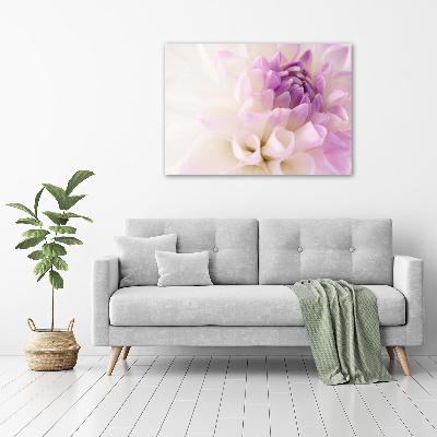 Tableau photo sur toile Dahlia blanc