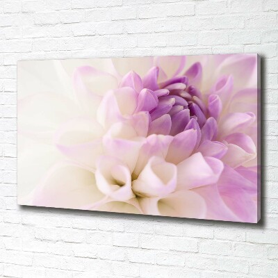 Tableau photo sur toile Dahlia blanc