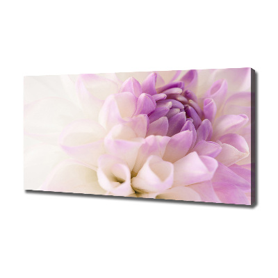 Tableau photo sur toile Dahlia blanc