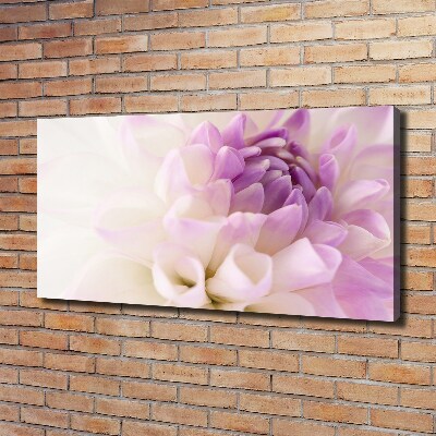 Tableau photo sur toile Dahlia blanc