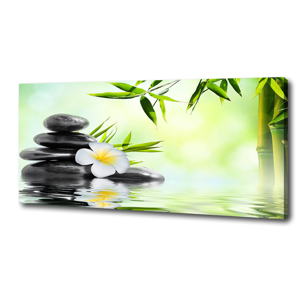 Tableau photo sur toile Plumeria et bambou