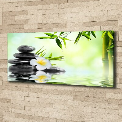 Tableau photo sur toile Plumeria et bambou