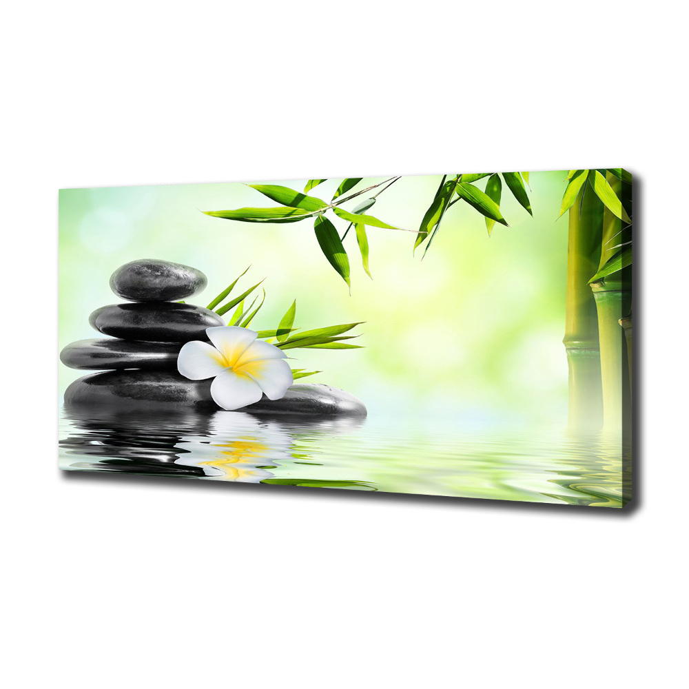 Tableau photo sur toile Plumeria et bambou