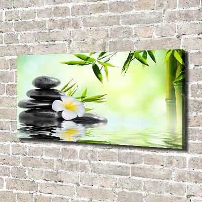 Tableau photo sur toile Plumeria et bambou