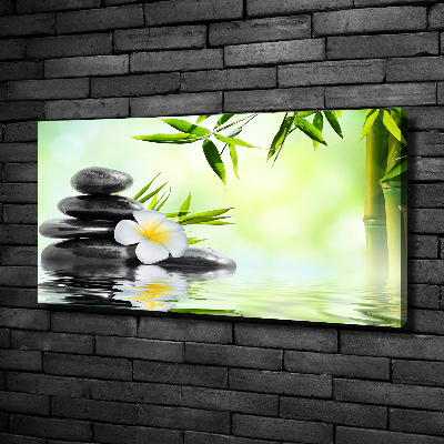 Tableau photo sur toile Plumeria et bambou