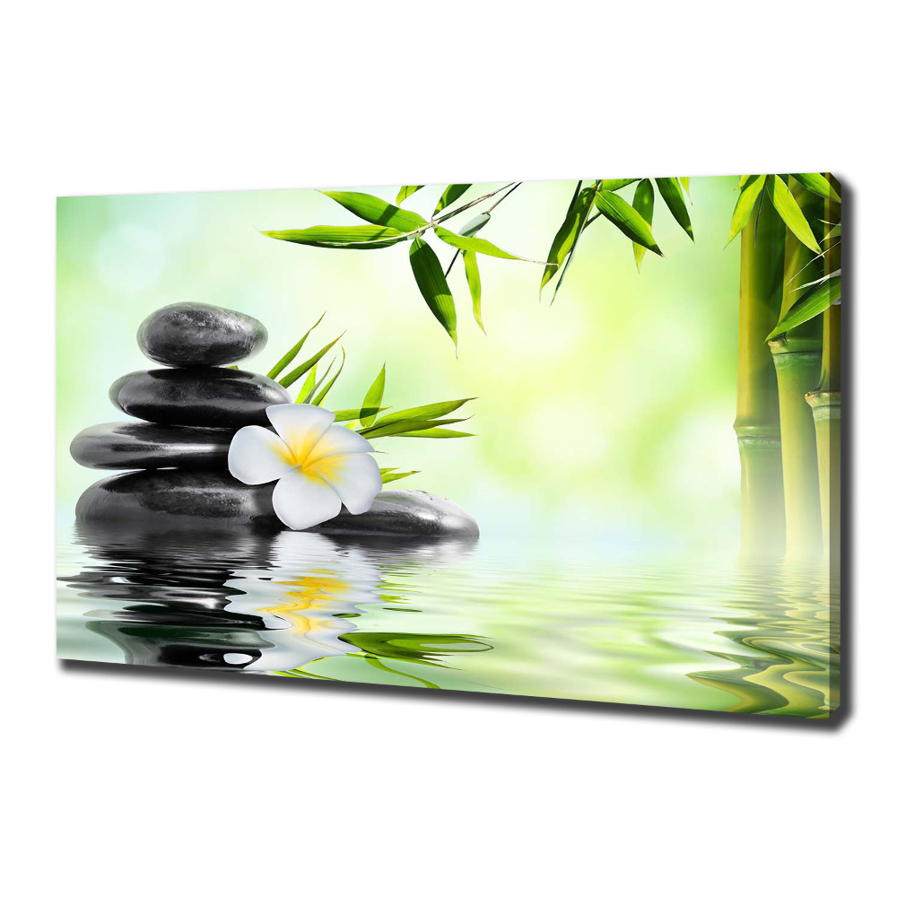 Tableau photo sur toile Plumeria et bambou