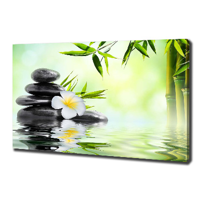 Tableau photo sur toile Plumeria et bambou