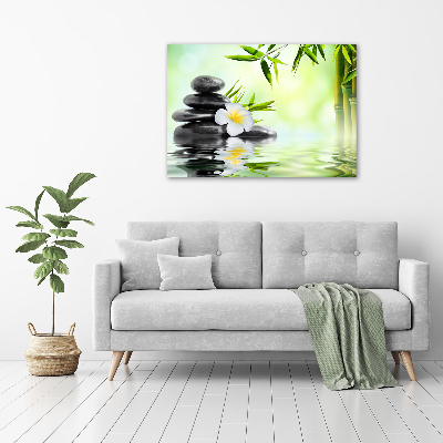 Tableau photo sur toile Plumeria et bambou