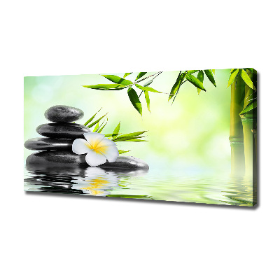 Tableau photo sur toile Plumeria et bambou