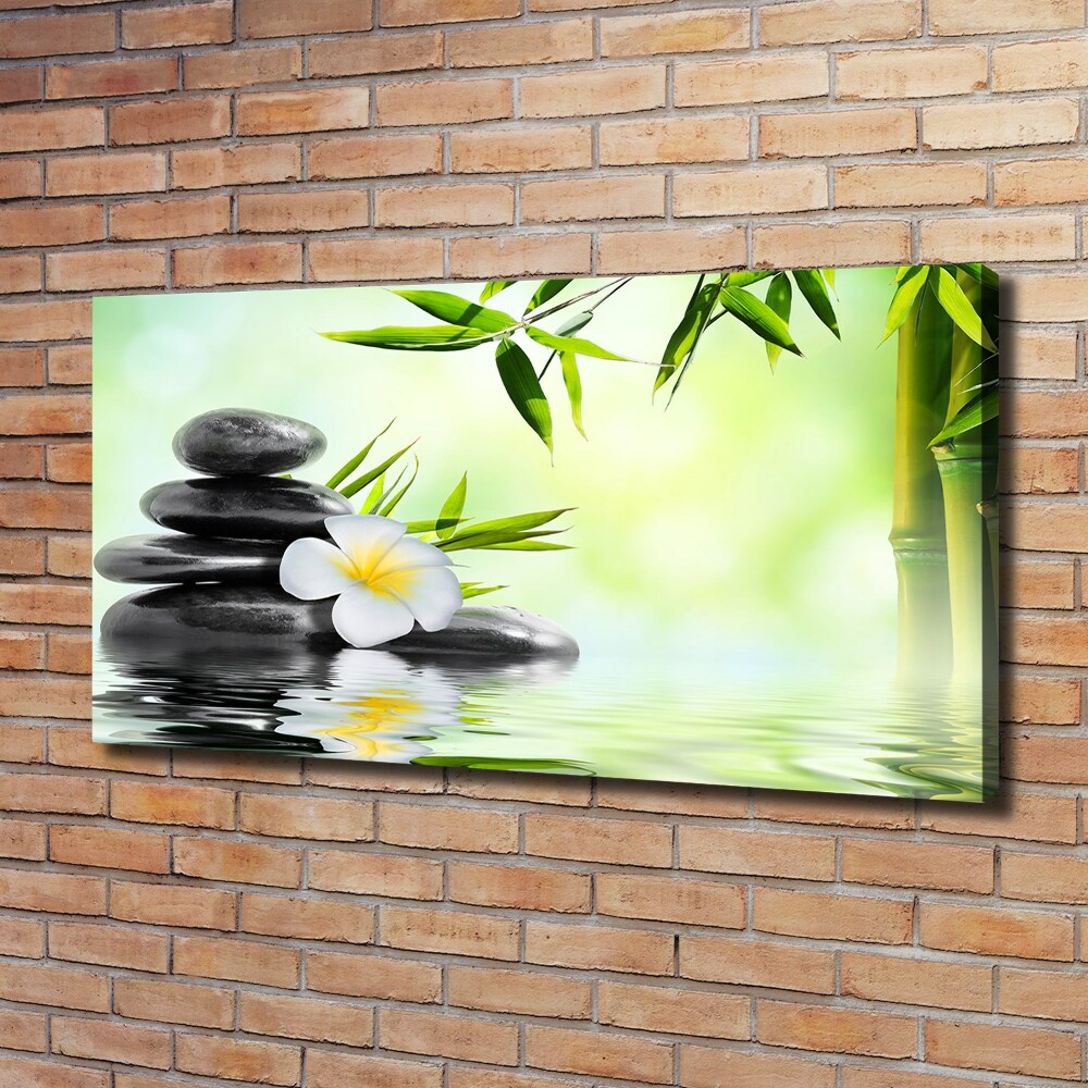 Tableau photo sur toile Plumeria et bambou