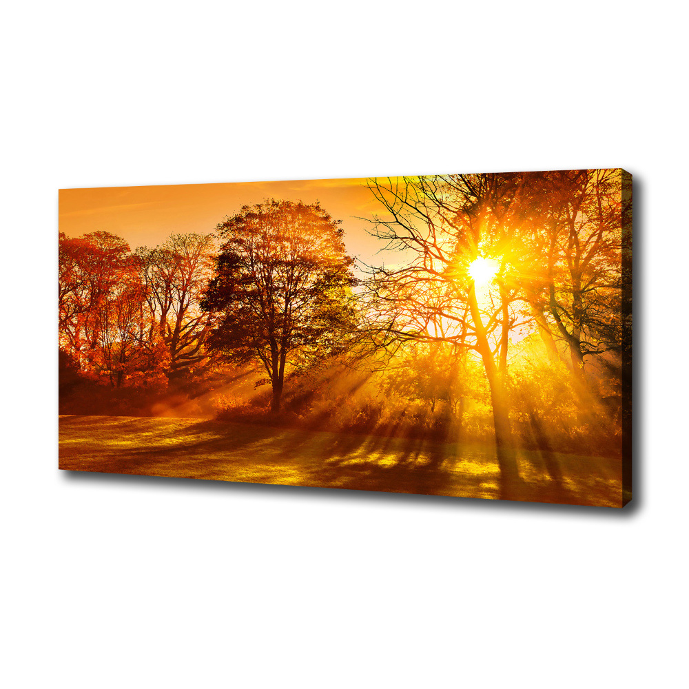 Tableau sur toile Coucher de soleil