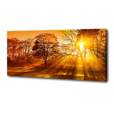 Tableau sur toile Coucher de soleil