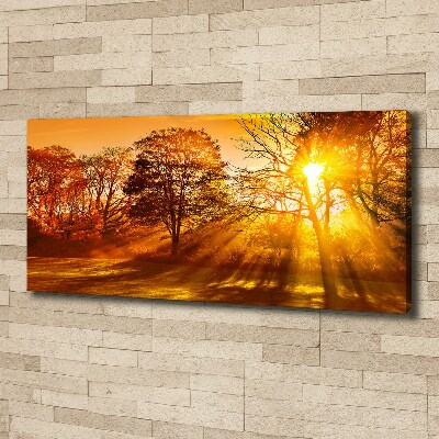 Tableau sur toile Coucher de soleil