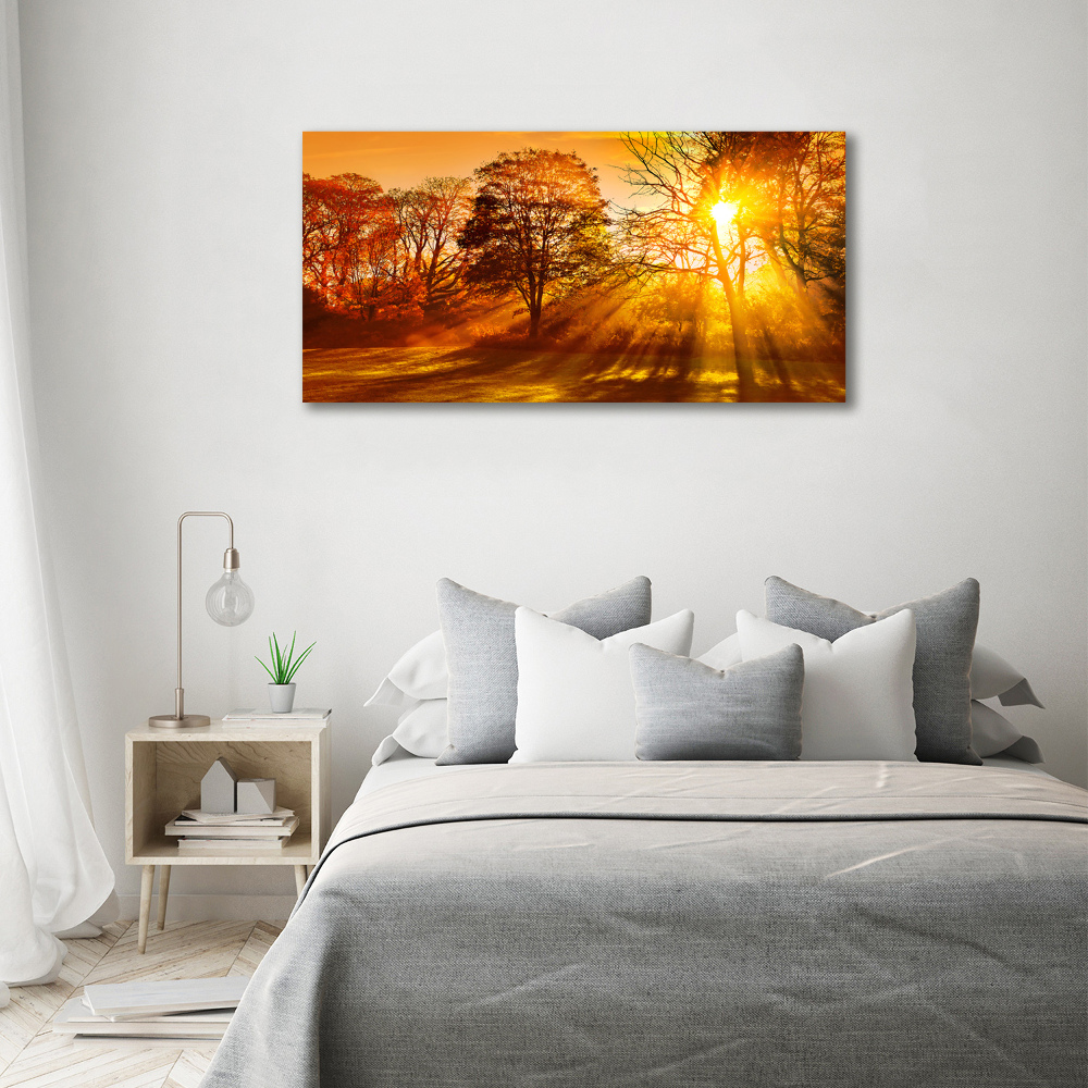 Tableau sur toile Coucher de soleil