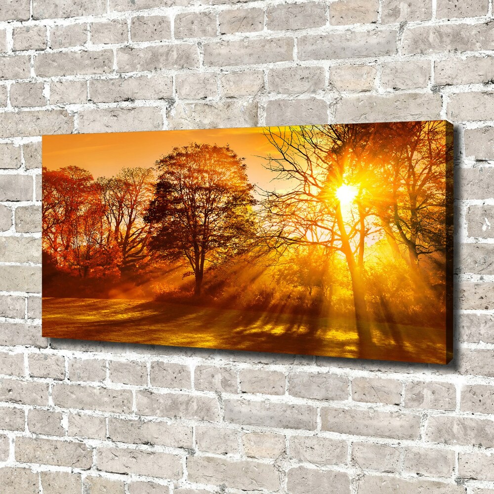 Tableau sur toile Coucher de soleil