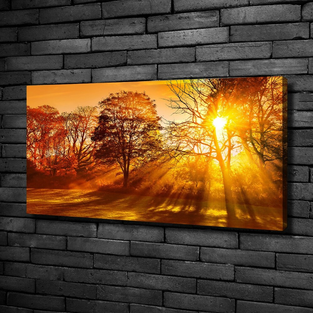 Tableau sur toile Coucher de soleil