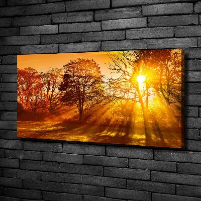 Tableau sur toile Coucher de soleil