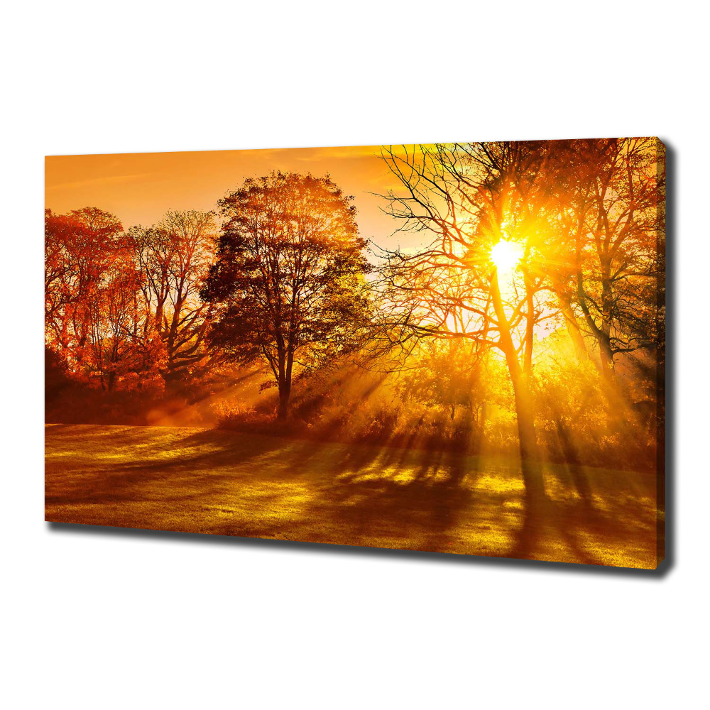 Tableau sur toile Coucher de soleil