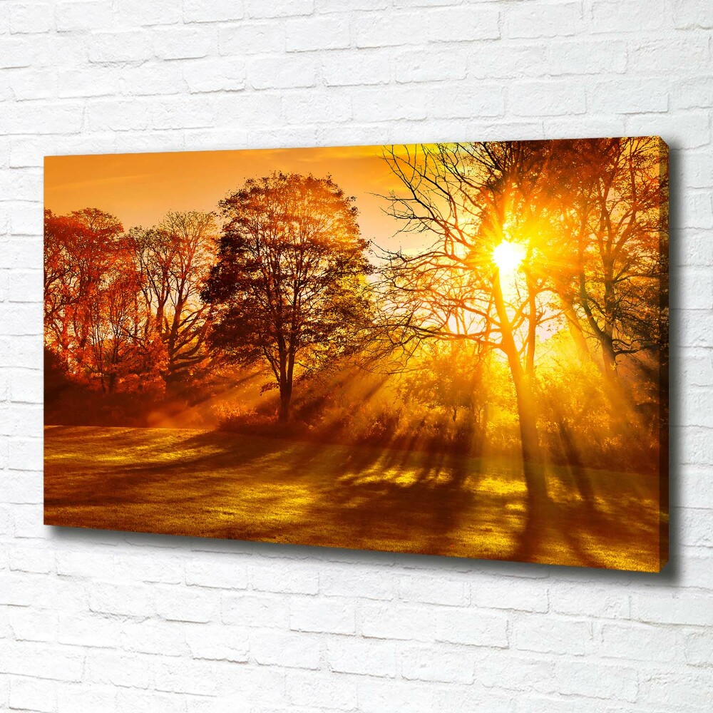 Tableau sur toile Coucher de soleil