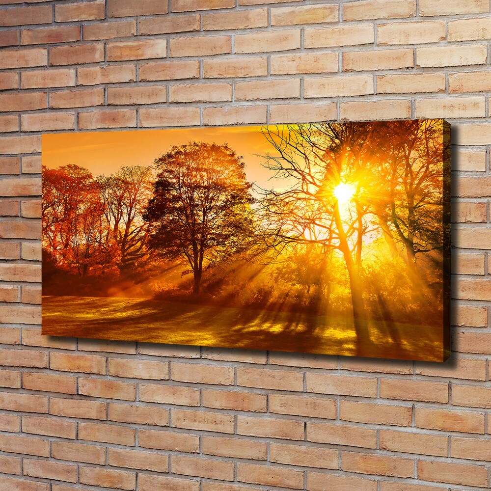 Tableau sur toile Coucher de soleil