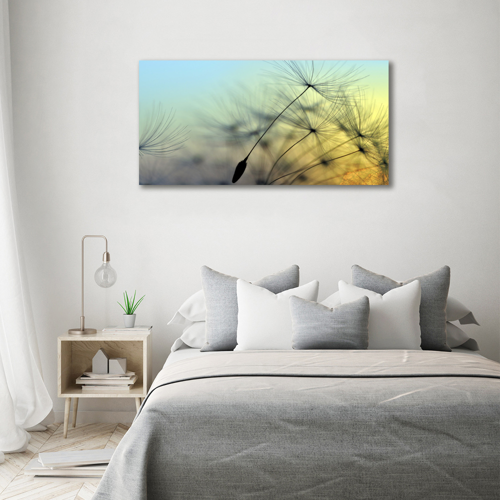 Tableau photo sur toile Pissenlit coucher de soleil