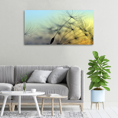 Tableau photo sur toile Pissenlit coucher de soleil