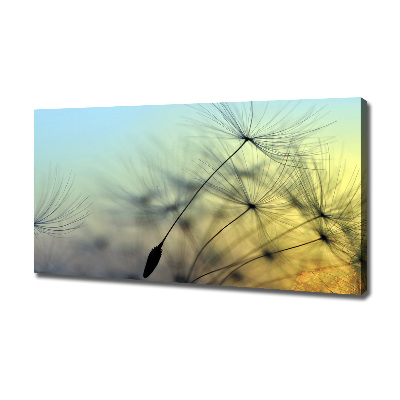 Tableau photo sur toile Pissenlit coucher de soleil