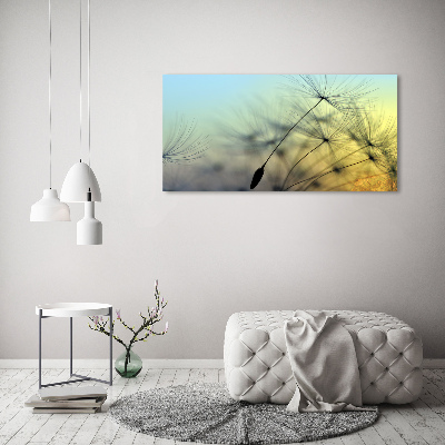 Tableau photo sur toile Pissenlit coucher de soleil