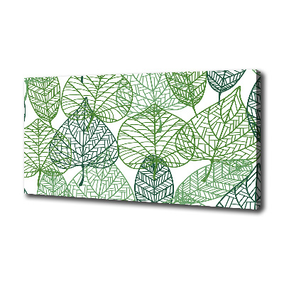 Tableau photo sur toile Motif des feuilles vertes