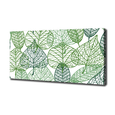 Tableau photo sur toile Motif des feuilles vertes