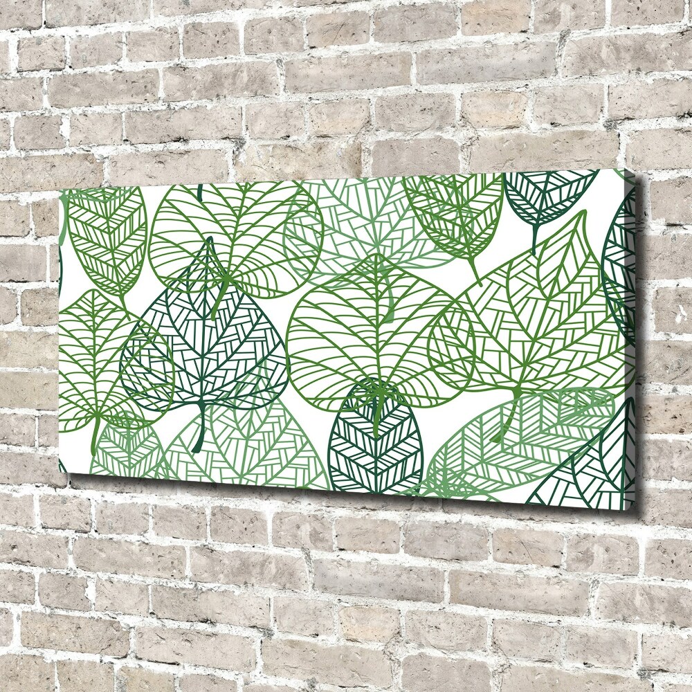 Tableau photo sur toile Motif des feuilles vertes