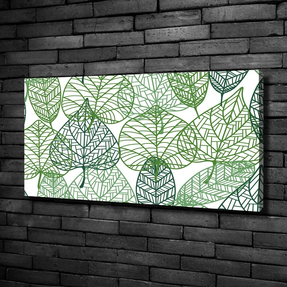 Tableau photo sur toile Motif des feuilles vertes