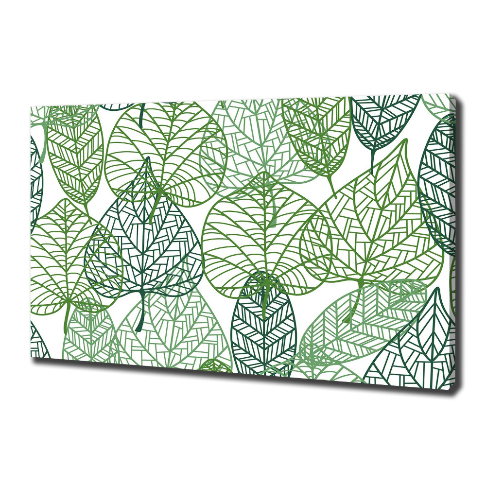 Tableau photo sur toile Motif des feuilles vertes